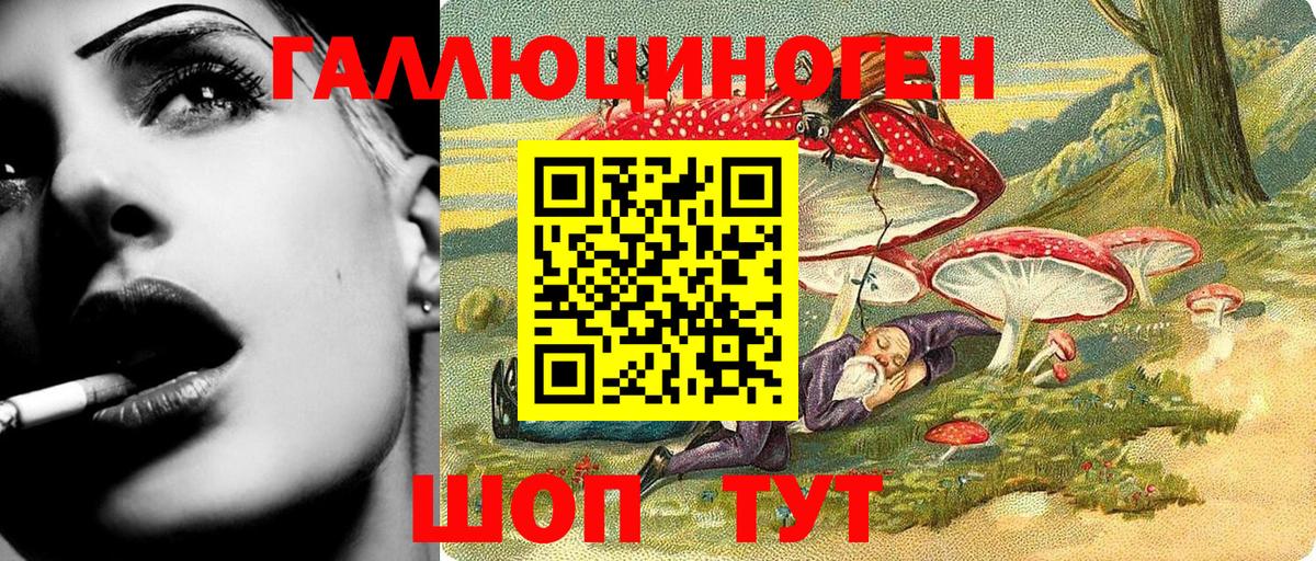 Галлюциногенные грибы Psilocybine cubensis  Галлюциногенные грибы Psilocybe  Вход с VPN  Гатчина 